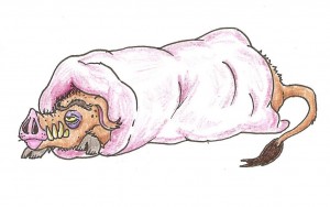 Artwork by the generous and talented @baboonicorn